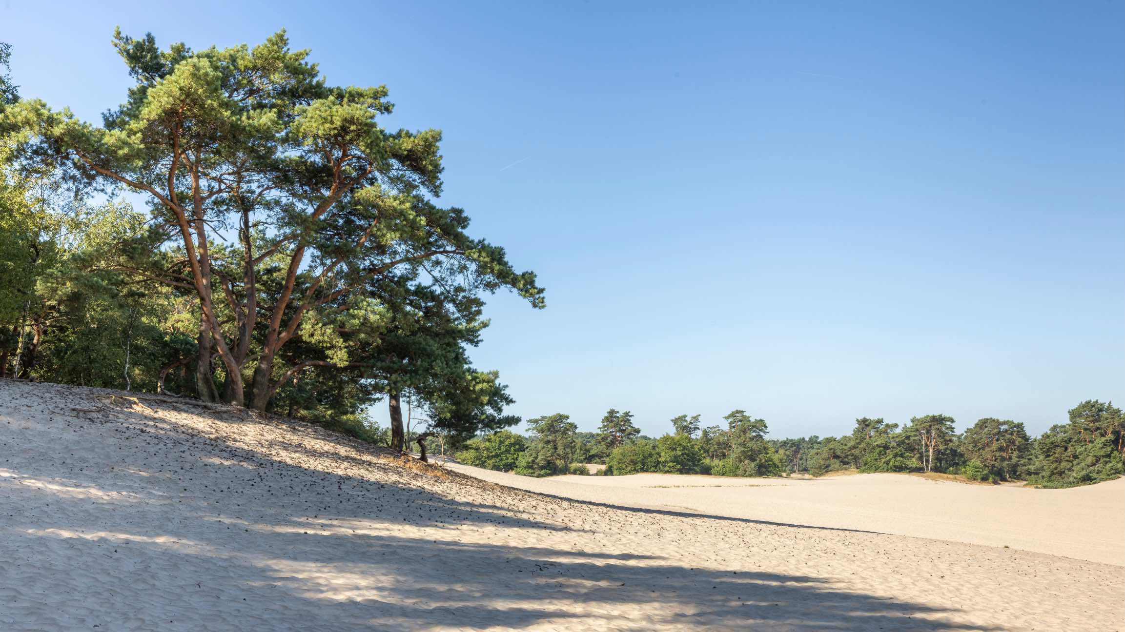 Duinen Soest